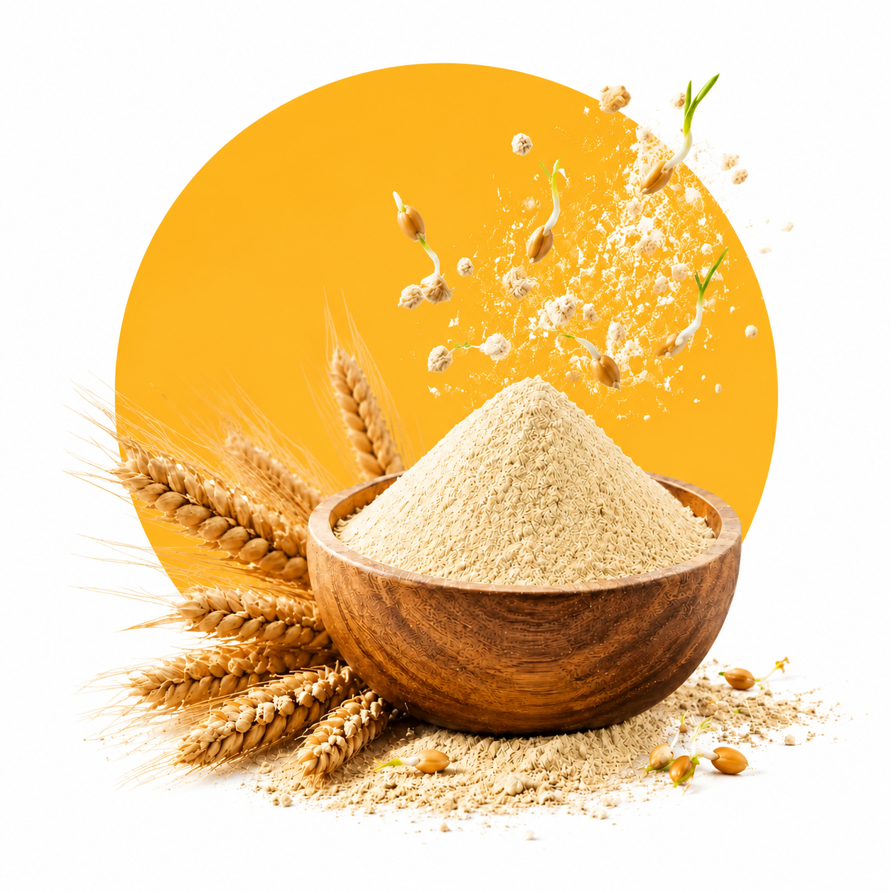 خرید و فروش پودر جوانه گندم زرنو با کیفیت برای تغذیه سالم