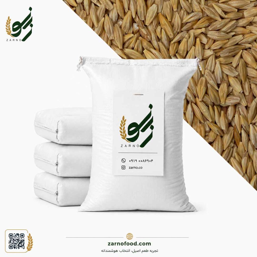 فروش عمده دانه جو با پوست (Unhulled Barley) با کیفیت