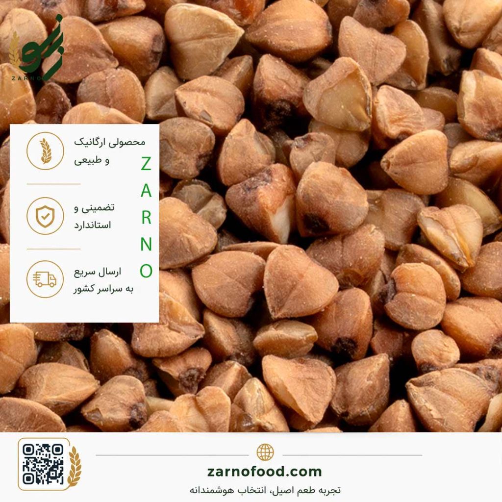 فروش عمده گندم سیاه (باکویت) با کیفیت برای صنایع غذایی | زرنو