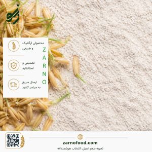 فروش عمده پودر جوانه گندم (Wheat Germ Powder) با کیفیت