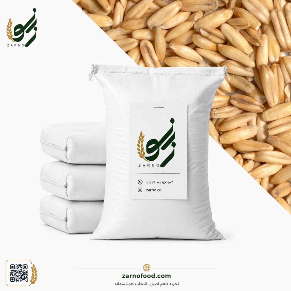 فروش عمده دانه جو دوسر بدون پوست (Oat Groats) | تأمین مواد اولیه صنایع غذایی و غلات