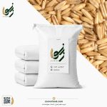 فروش عمده دانه جو دوسر بدون پوست (Oat Groats) | تأمین مواد اولیه صنایع غذایی و غلات