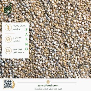 فروش عمده دانه کینوا (Quinoa) با کیفیت
