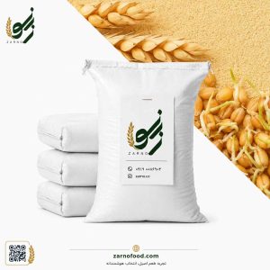 جوانه گندم (Wheat Germ) سرشار از پروتئین و ویتامین E، مناسب فروش عمده