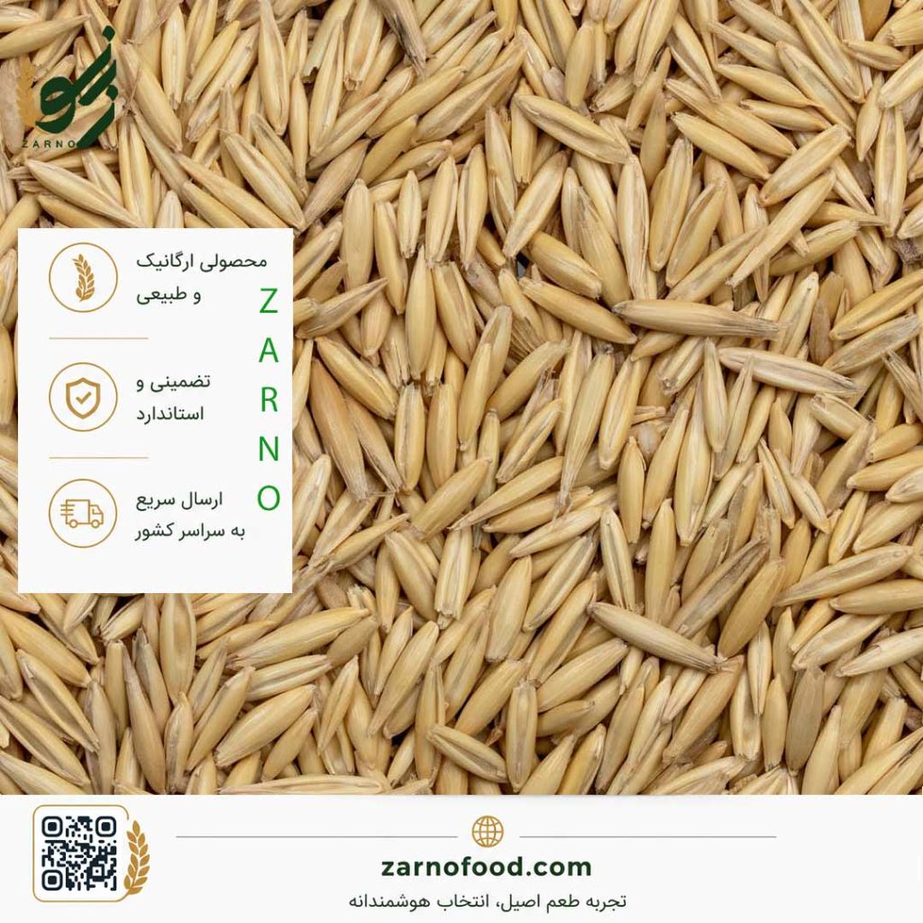 فروش عمده دانه جو دوسر سبوس‌دار (Whole Oats) با کیفیت برای صنایع غذایی