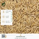 فروش عمده دانه جو دوسر سبوس‌دار (Whole Oats) با کیفیت برای صنایع غذایی