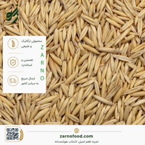فروش عمده دانه جو دوسر سبوس‌دار (Whole Oats) با کیفیت برای صنایع غذایی