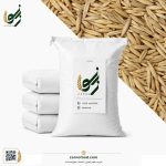 فروش عمده دانه جو دوسر با پوست (Unhulled Oats) برای صنایع غذایی و خوراک دام